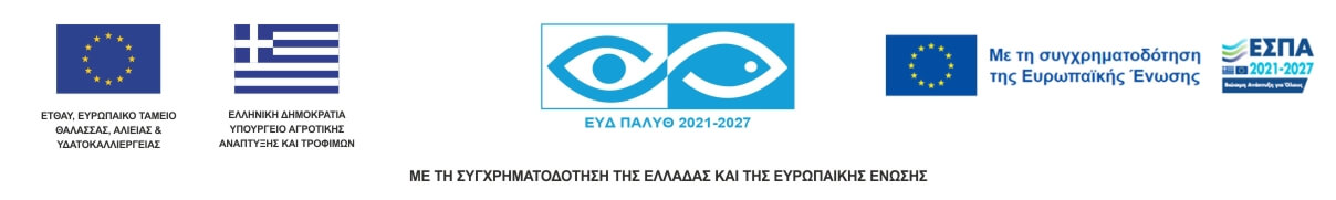 ΕΣΠΑ ΕΥΔ ΠΑΛΥΘ 2021 – 2027